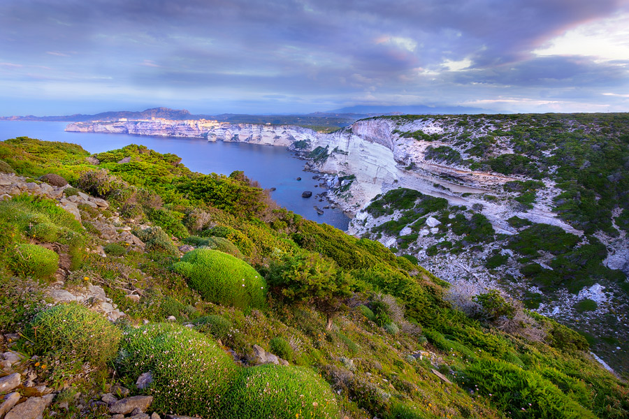 Korsika - Bonifacio se probouzí I